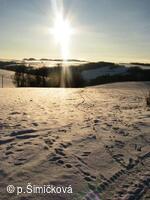 cesta na Nový dvůr